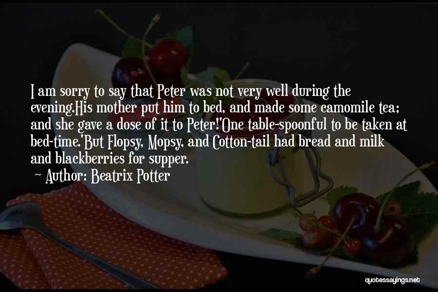 Him To Say I'm Sorry Quotes By Beatrix Potter