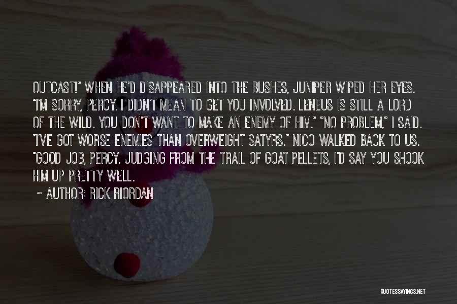 Him To Say I'm Sorry Quotes By Rick Riordan