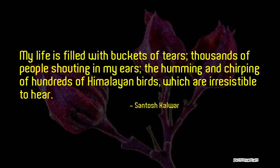 Himalayan Quotes By Santosh Kalwar Himalayan Quotes By Santosh Kalwar