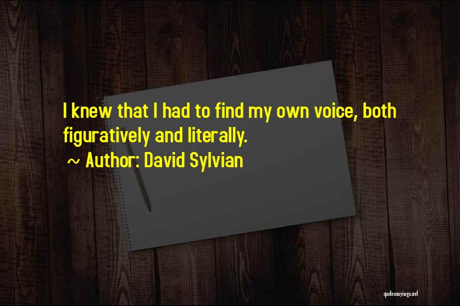 Himble Quotes By David Sylvian