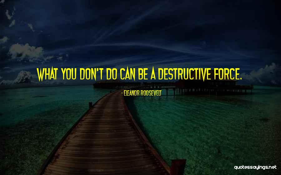 Himsa Quotes By Eleanor Roosevelt Himsa Quotes By Eleanor Roosevelt