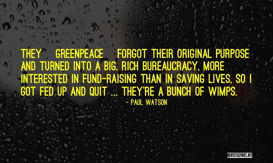 Hinaani Quotes By Paul Watson Hinaani Quotes By Paul Watson