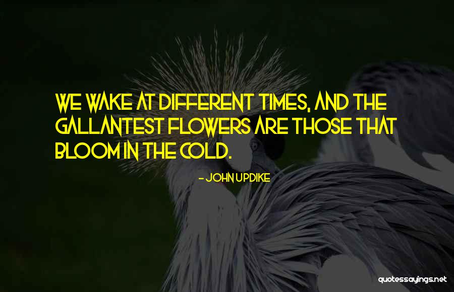 Hinano Beer Quotes By John Updike Hinano Beer Quotes By John Updike