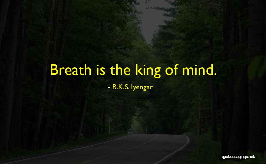 Hincapie Fondo Quotes By B.K.S. Iyengar Hincapie Fondo Quotes By B.K.S. Iyengar