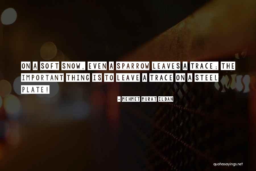 Hincapie Spring Quotes By Mehmet Murat Ildan Hincapie Spring Quotes By Mehmet Murat Ildan