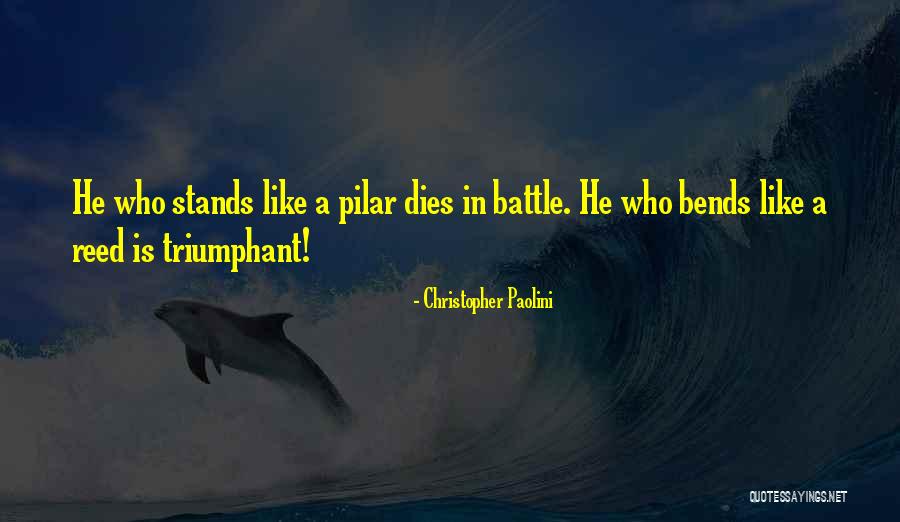 Hinchadas De Futbol Quotes By Christopher Paolini Hinchadas De Futbol Quotes By Christopher Paolini