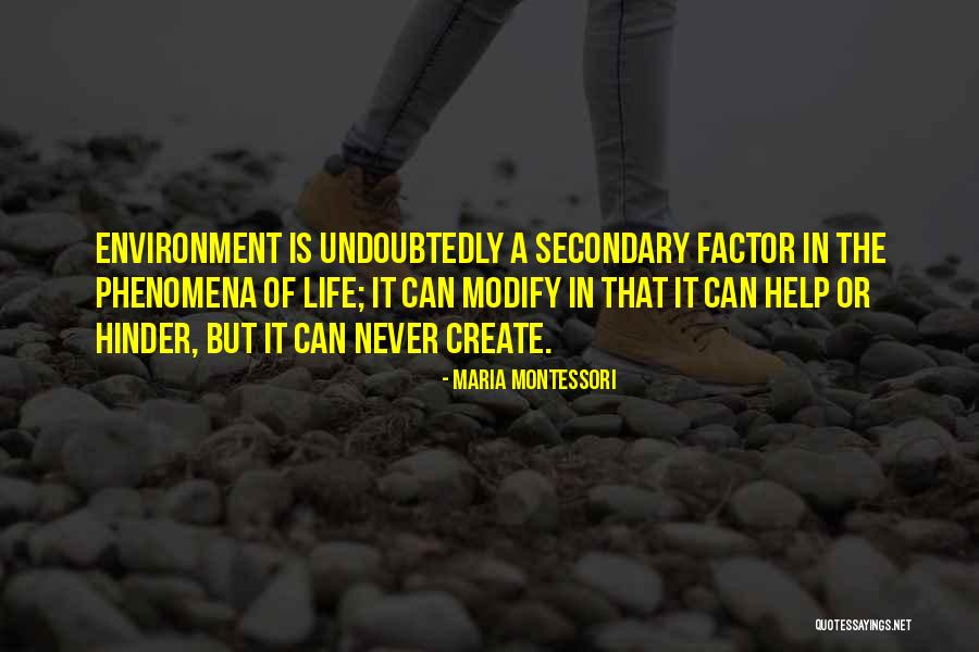 Hinder Best Quotes By Maria Montessori Hinder Best Quotes By Maria Montessori