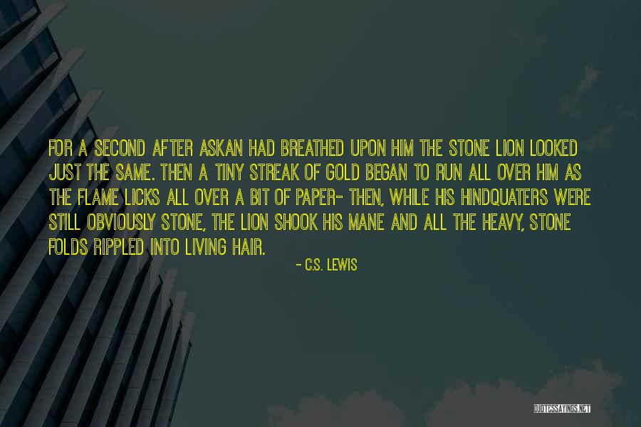 Hindquaters Quotes By C.S. Lewis Hindquaters Quotes By C.S. Lewis