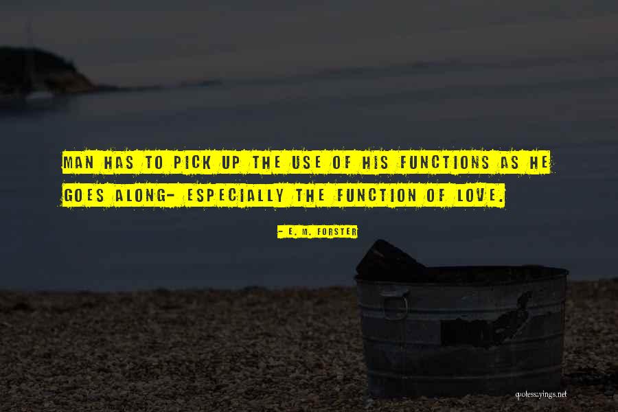 Hindsgaul Seaways Quotes By E. M. Forster Hindsgaul Seaways Quotes By E. M. Forster