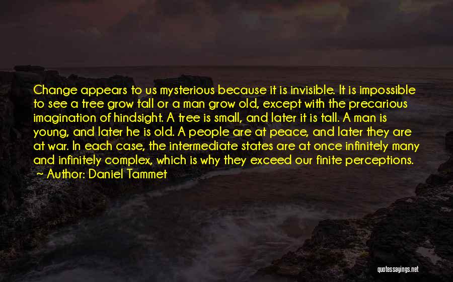 Hindsight Quotes By Daniel Tammet