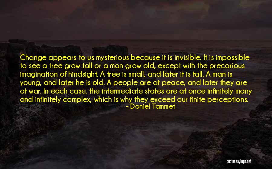 Hindsight Quotes By Daniel Tammet