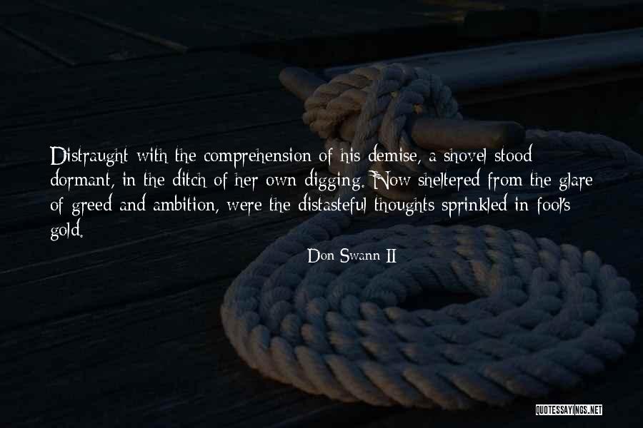 Hindsight Quotes By Don Swann II Hindsight Quotes By Don Swann II