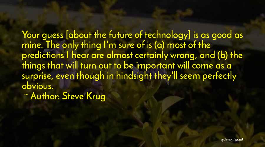 Hindsight Quotes By Steve Krug