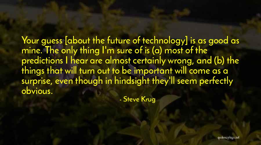 Hindsight Quotes By Steve Krug