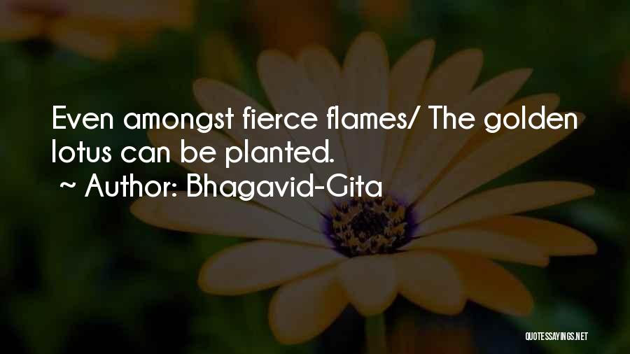 Hindu Scriptures Quotes By Bhagavid-Gita