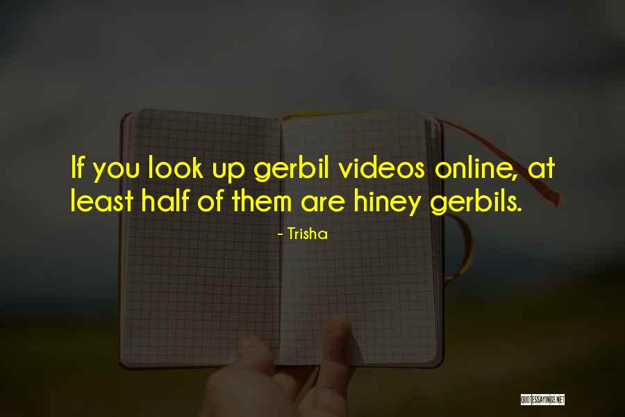 Hiney Quotes By Trisha Hiney Quotes By Trisha