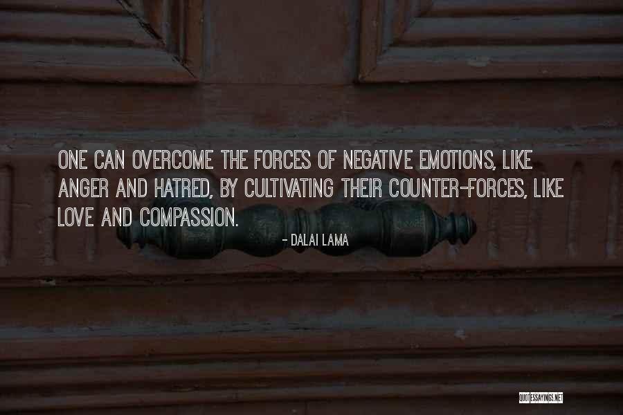 Hingabe Quotes By Dalai Lama Hingabe Quotes By Dalai Lama