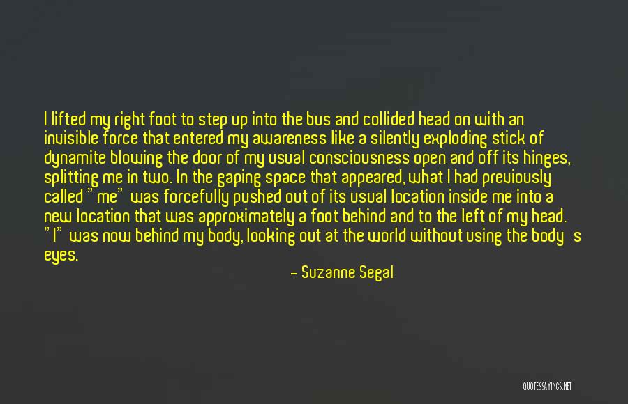 Hinges For Doors Quotes By Suzanne Segal Hinges For Doors Quotes By Suzanne Segal