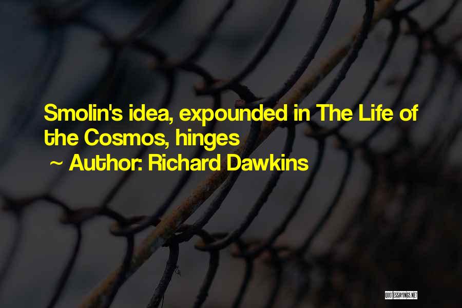 Hinges Quotes By Richard Dawkins