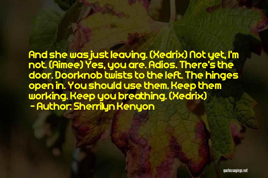 Hinges Quotes By Sherrilyn Kenyon