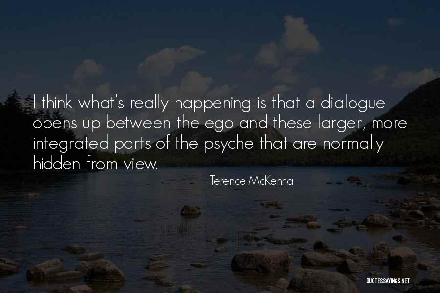 Hingorani And Associates Quotes By Terence McKenna Hingorani And Associates Quotes By Terence McKenna