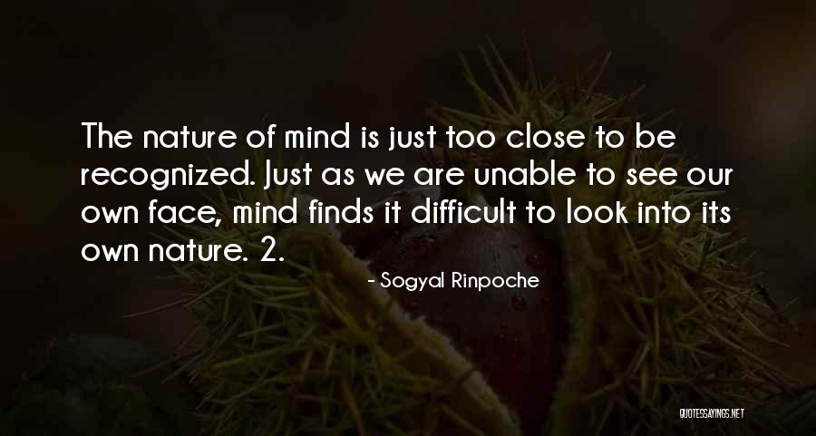 Hinojosa Dallas Quotes By Sogyal Rinpoche Hinojosa Dallas Quotes By Sogyal Rinpoche