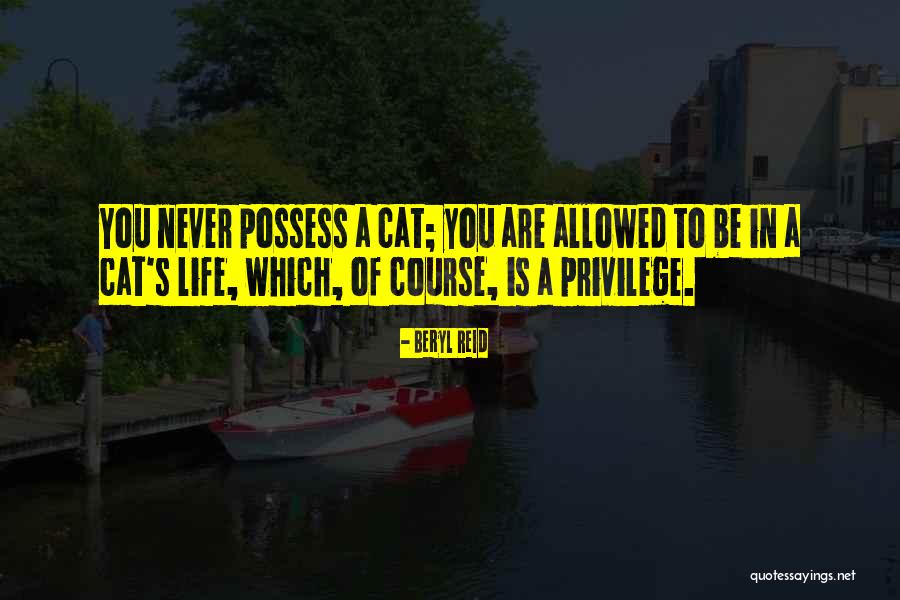 Hinrichs And Pesavento Quotes By Beryl Reid Hinrichs And Pesavento Quotes By Beryl Reid