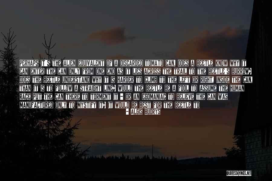 Hint Fiction Quotes By Algis Budrys Hint Fiction Quotes By Algis Budrys