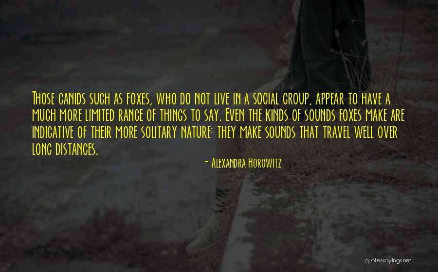 Hinted Synonym Quotes By Alexandra Horowitz Hinted Synonym Quotes By Alexandra Horowitz