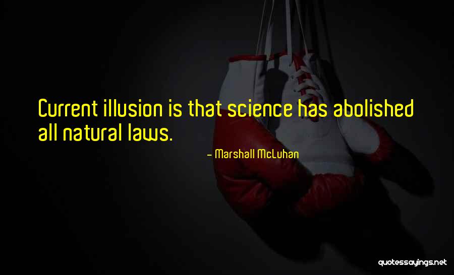 Hintikka Model Quotes By Marshall McLuhan Hintikka Model Quotes By Marshall McLuhan