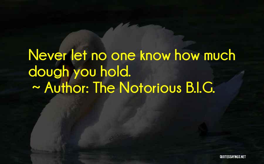 Hip Hop Quotes By The Notorious B.I.G.