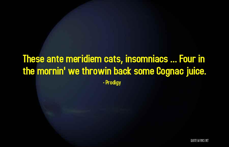 Hip Hop Rap Quotes By Prodigy Hip Hop Rap Quotes By Prodigy