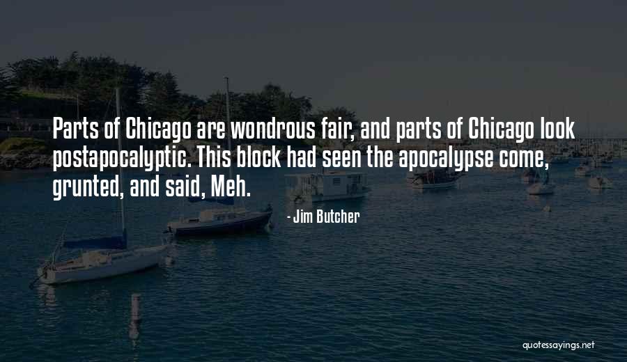 Hip Tesis Del Quotes By Jim Butcher Hip Tesis Del Quotes By Jim Butcher