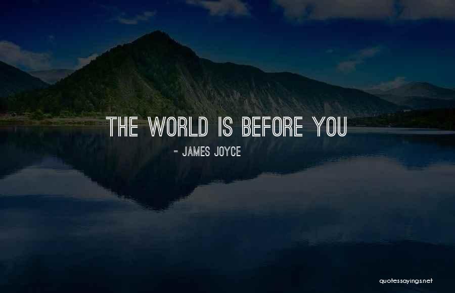 Hipaa Important To Patient Quotes By James Joyce Hipaa Important To Patient Quotes By James Joyce