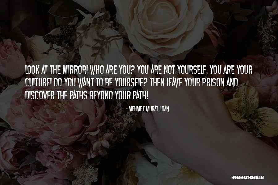 Hipocrsiy Quotes By Mehmet Murat Ildan Hipocrsiy Quotes By Mehmet Murat Ildan