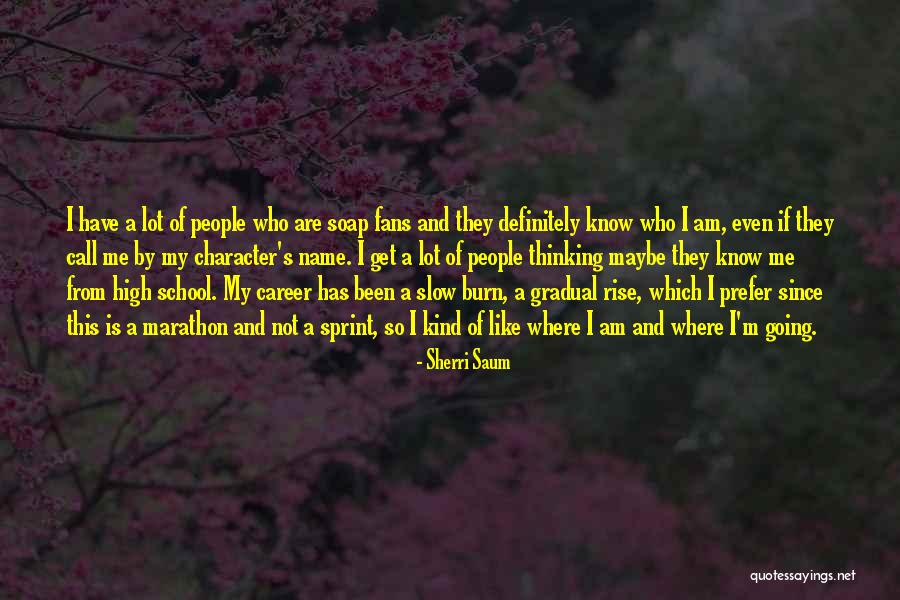 Hipocrsiy Quotes By Sherri Saum Hipocrsiy Quotes By Sherri Saum