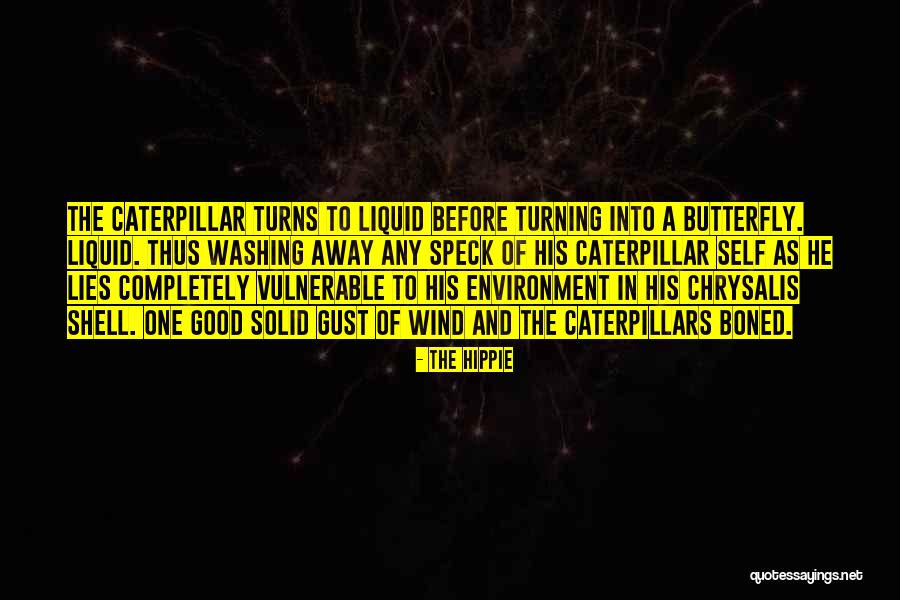 Hippie Quotes By The Hippie Hippie Quotes By The Hippie