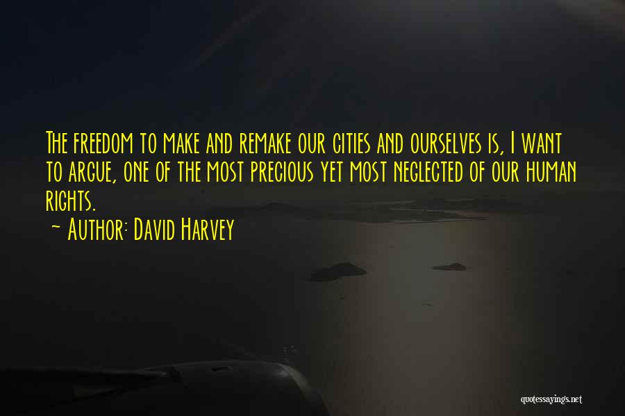 Hippied Quotes By David Harvey
