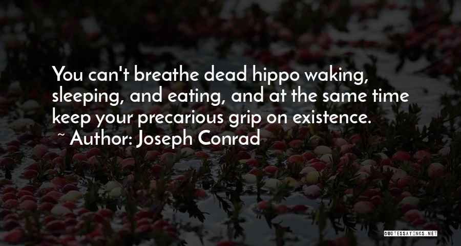 Hippo.co.za Quotes By Joseph Conrad