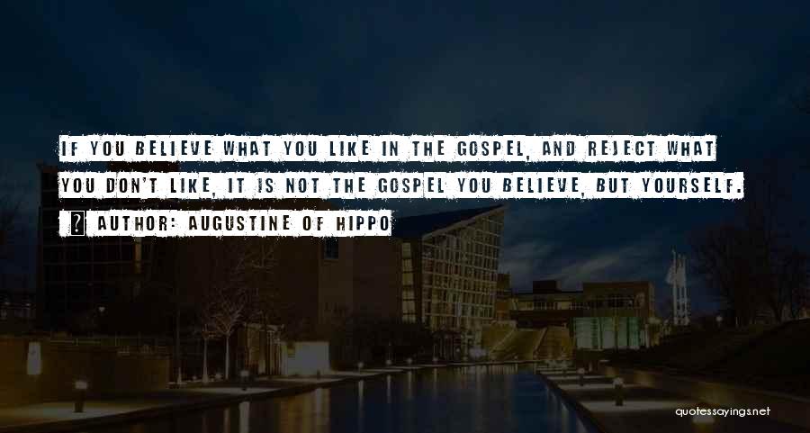 Hippo Quotes By Augustine Of Hippo