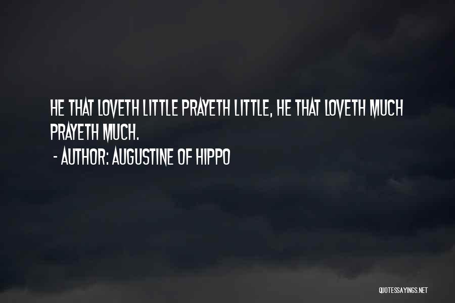 Hippo Quotes By Augustine Of Hippo