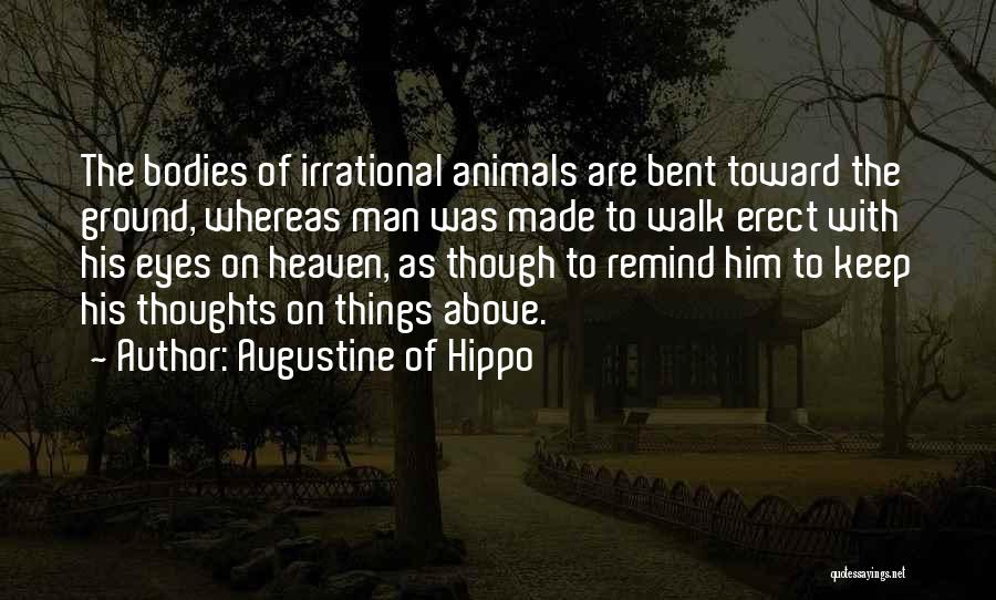 Hippo Quotes By Augustine Of Hippo