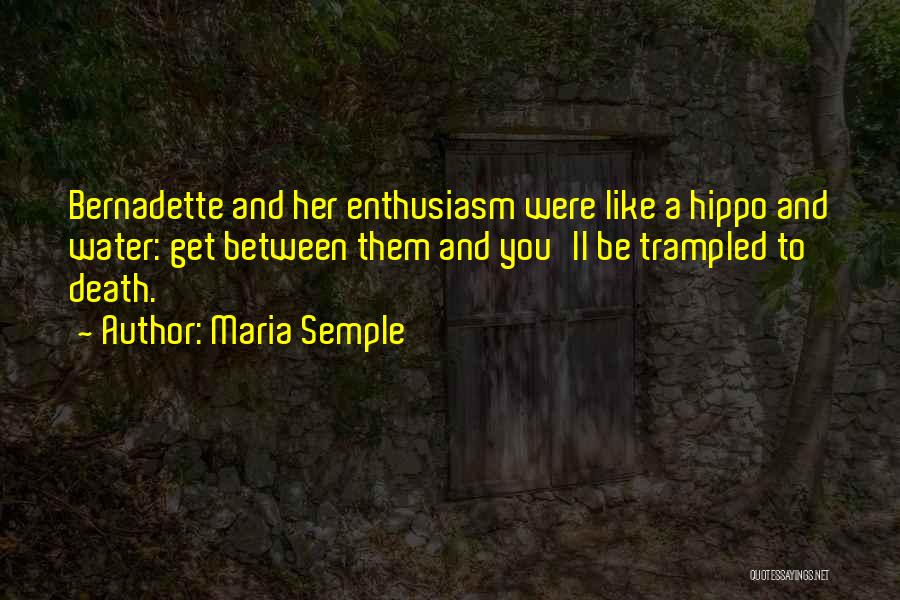 Hippo Quotes By Maria Semple