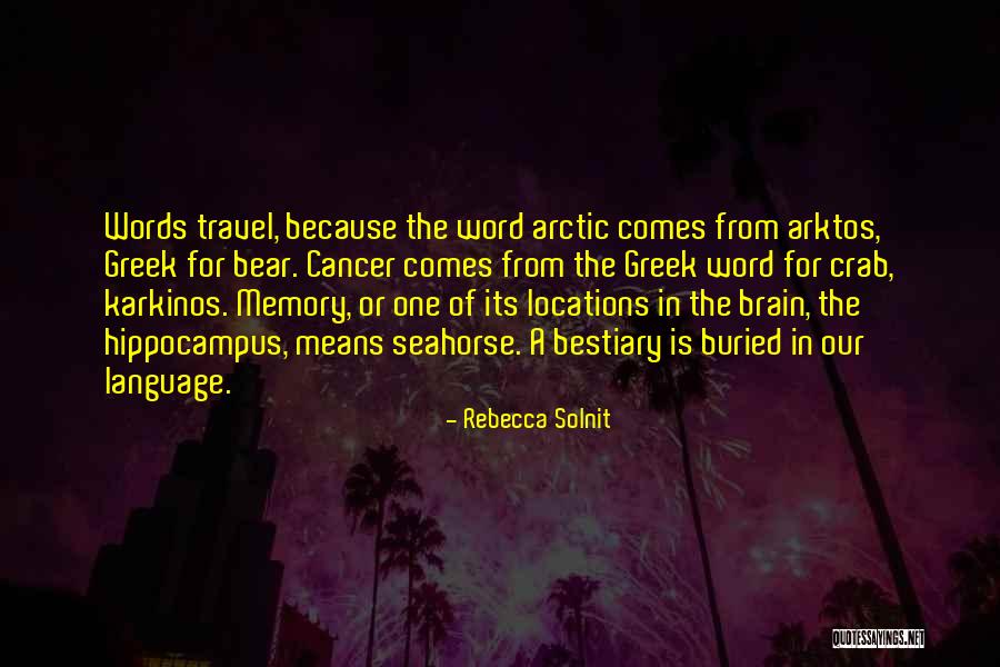 Hippocampus Brain Quotes By Rebecca Solnit Hippocampus Brain Quotes By Rebecca Solnit