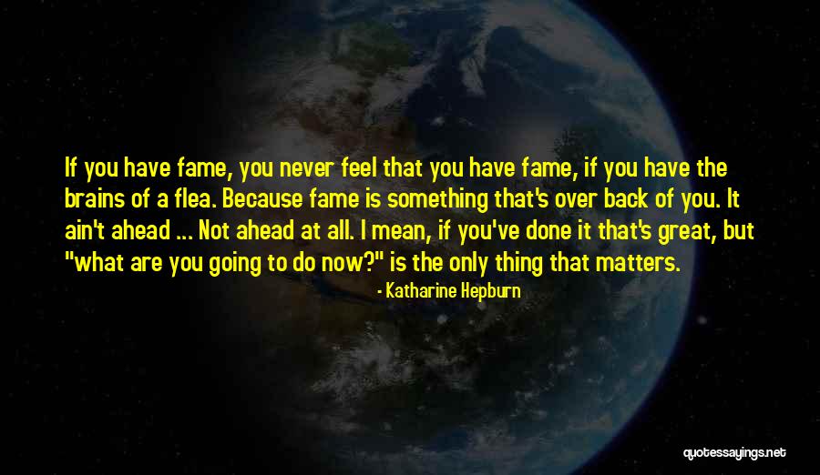Hippocleides Doesnt Care Quotes By Katharine Hepburn Hippocleides Doesnt Care Quotes By Katharine Hepburn