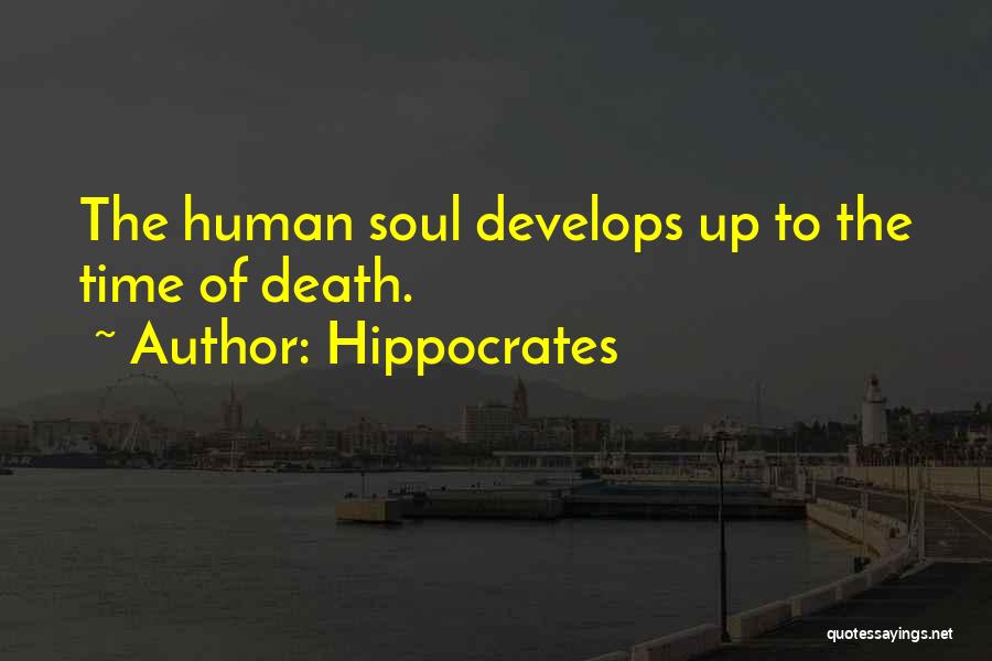 Hippocrates Quotes 1453738