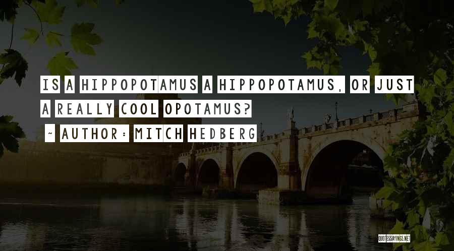 Hippopotamus Quotes By Mitch Hedberg