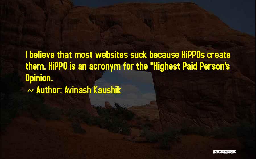 Hippos Quotes By Avinash Kaushik