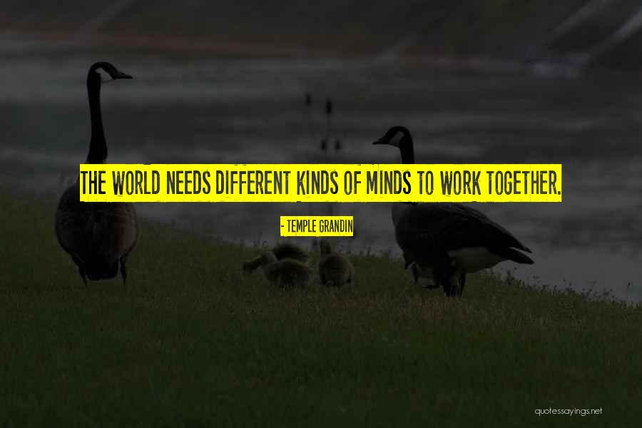 Hiramatsu Rio Quotes By Temple Grandin Hiramatsu Rio Quotes By Temple Grandin