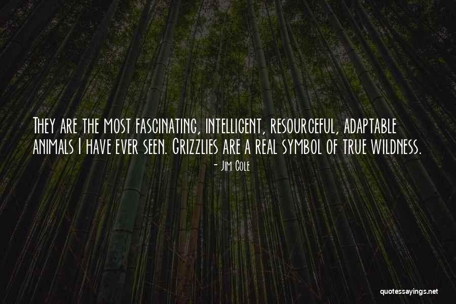 Hironaka Quotes By Jim Cole Hironaka Quotes By Jim Cole